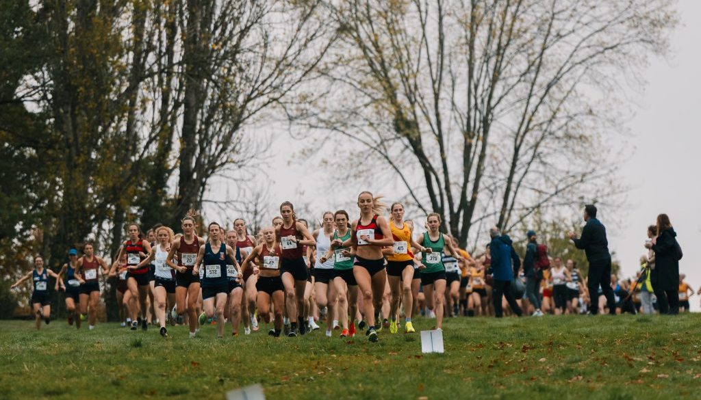 surrey-league-nov-2025